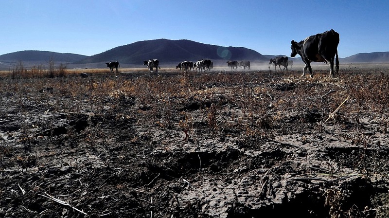 La Administración Nacional de Aeronáutica y el Espacio (NASA) advirtió sobre la gravedad de la sequía en México, donde casi el 85 por ciento del país enfrenta estas condiciones. (Especial)
