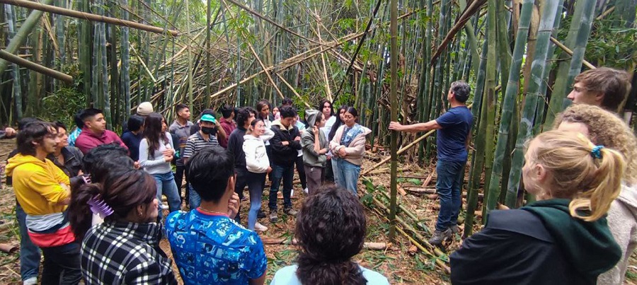 Estudiantes de Arquitectura de la UDLAP realizan proyecto con bambú. (Especial)
