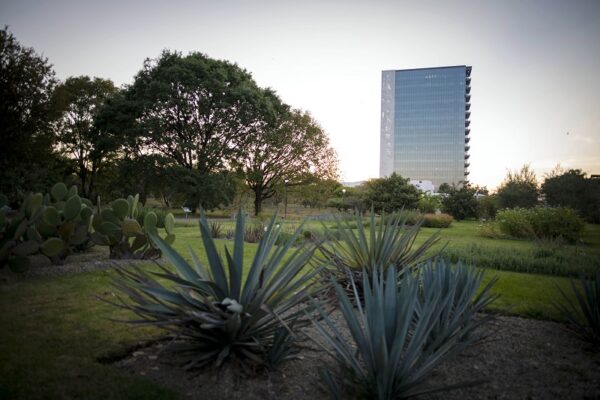 El Jardín Botánico de la BUAP conmemora su 35 aniversario Jardín Botánico Universitario (JBU) de la BUAP. (Especial)