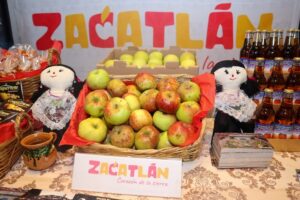 Una derrama económica de más de 300 millones de pesos y la llegada de hasta 500 mil turistas, es lo que se espera para la edición 80 de la gran Feria de la Manzana. (Especial)