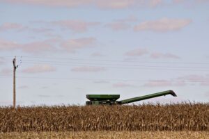 Una cosechadora recorre un campo de maíz en Malden (Illinois). DANIEL ACKER (BLOOMBERG)