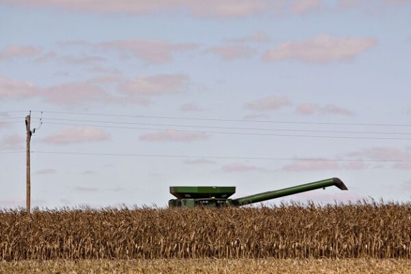 Tensión entre EU y México por el maíz transgénico Una cosechadora recorre un campo de maíz en Malden (Illinois). DANIEL ACKER (BLOOMBERG)